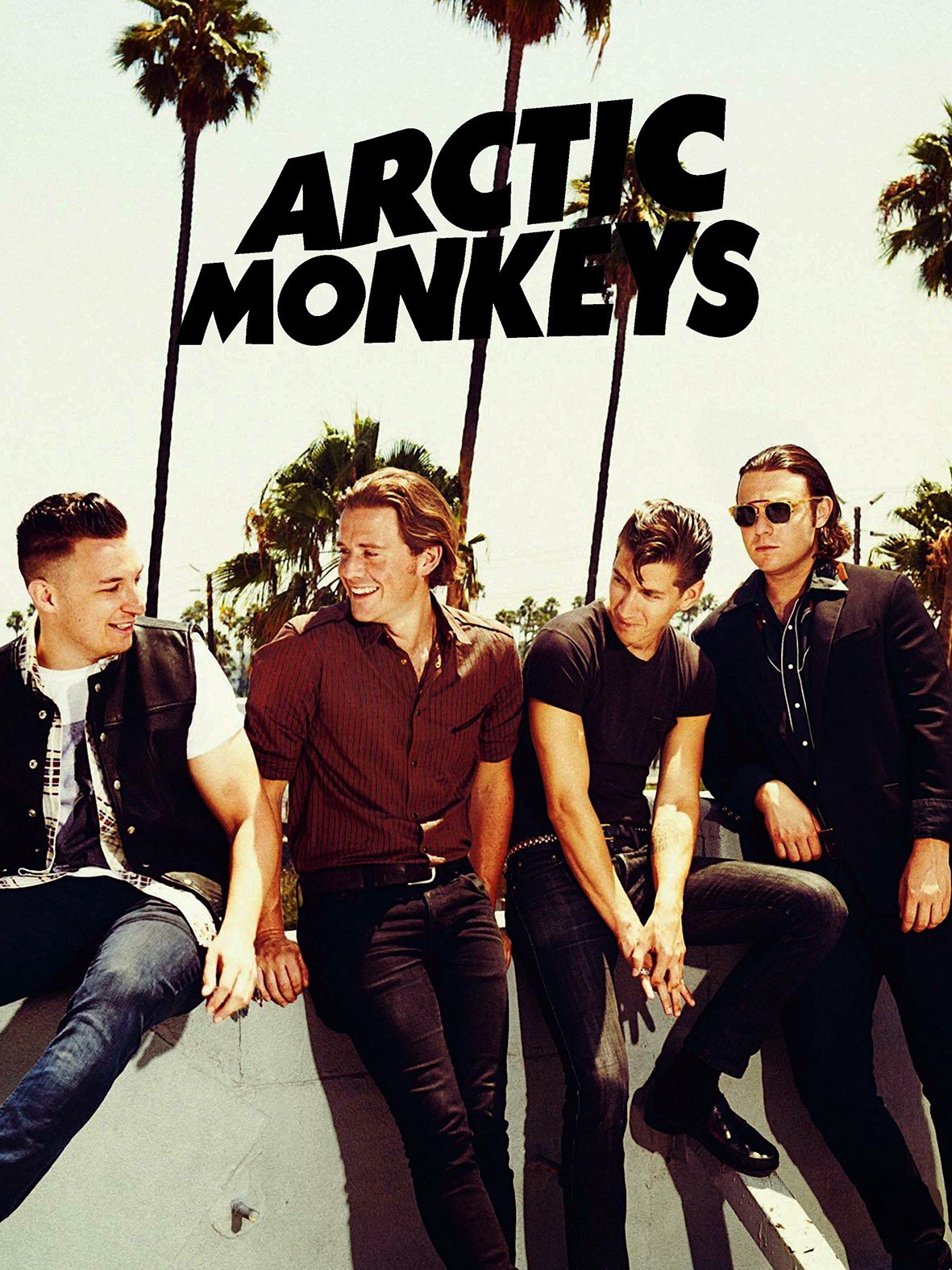 Placa Decorativa Arctic Monkeys Sentado Muro